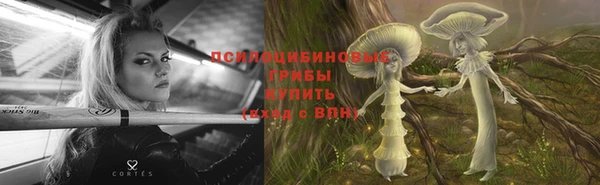 ПСИЛОЦИБИНОВЫЕ ГРИБЫ Коряжма