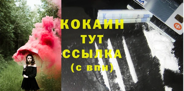 ПСИЛОЦИБИНОВЫЕ ГРИБЫ Коряжма