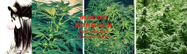 гашик Кодинск