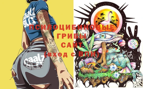 2c-b Костерёво
