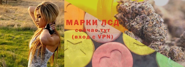 гашик Кодинск