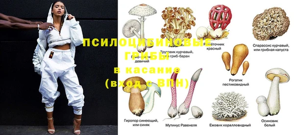 гашик Кодинск