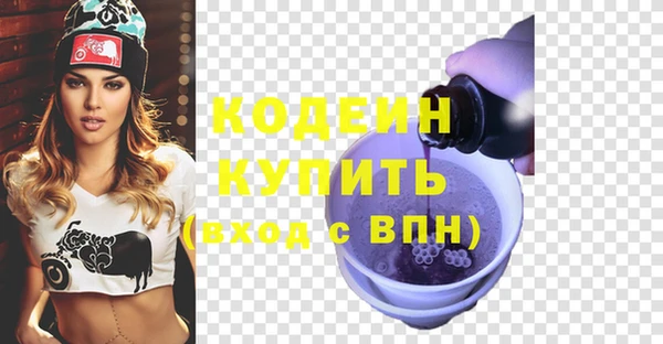 гашик Кодинск